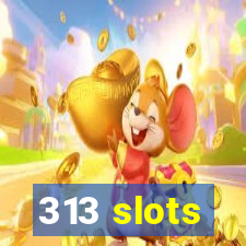 313 slots